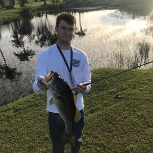 Meet your Posher, Oliver